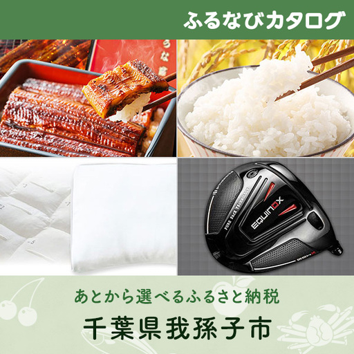 [有効期限なし!後からゆっくり特産品を選べる]千葉県我孫子市カタログポイント