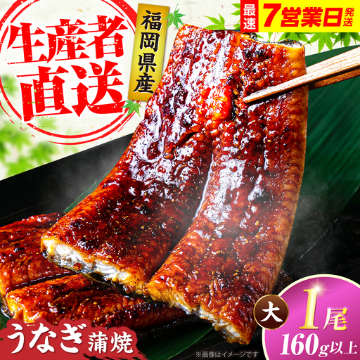 うなぎ 蒲焼大1尾 うなぎ 国産 VAD036