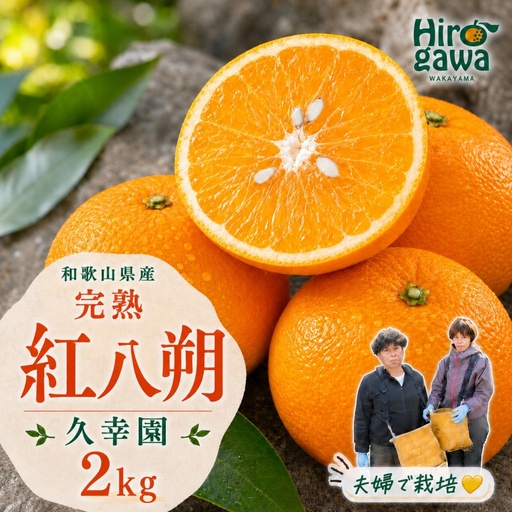 完熟 紅八朔 2kg 久幸園 / はっさく 甘い 和歌山 柑橘 ※2027年4月上旬～5月上旬頃に順次発送予定 【hsk022-beni-2】