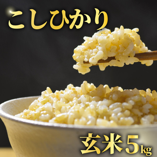 [先行予約] 玄米 5kg こしひかり 令和8年産 [ 玄米 新米 ]