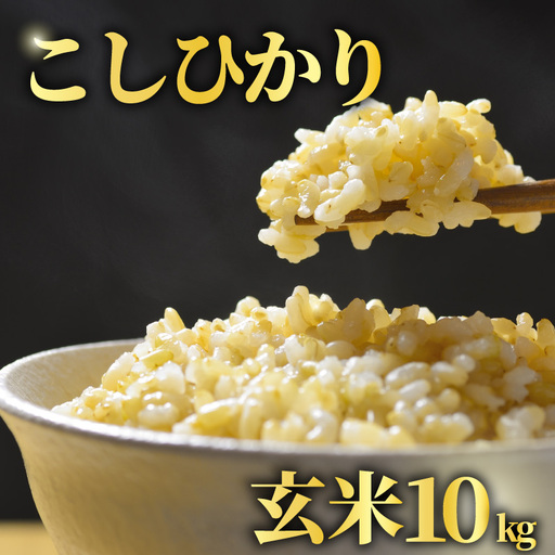 【先行予約】 玄米 10kg こしひかり 令和8年産 【 玄米 新米 】