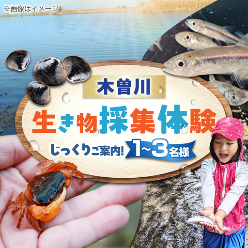 木曽川の生き物採集体験 1〜3名まで 体験 チケット 採集 愛西市 / 艶麗[AEDD007]