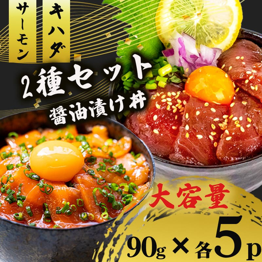 2種 醤油 漬け丼 90g×各5パック サーモン キハダマグロ