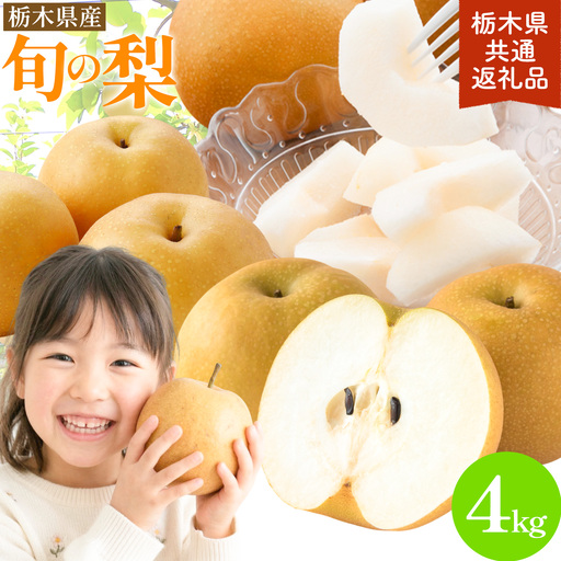 先行予約 旬の梨 約4kg 幸水 豊水 あきづき 新高 にっこり[8月上旬-10月中旬頃出荷予定] 栃木県 野木町 なし ナシ くだもの 果物 青果物 フルーツ