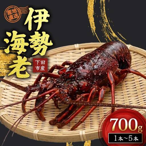 [ 伊勢海老 ]天然伊勢海老 700g