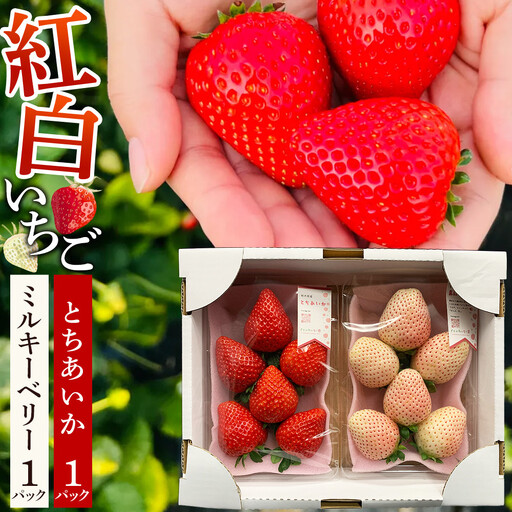 [先行予約受付]≪2027年1月発送≫ 白箱 とちあいか ミルキーベリー 紅白セット |果物 いちご 朝取り 新鮮 ハート フルーツ デザート ストロベリー デザート スイーツ 苺 イチゴ 大田原市 栃木県