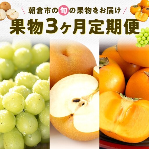 果物 3ヶ月 定期便 先行予約 2026年8月より順次発送 (シャインマスカット、梨、柿) フルーツ 3回 ※配送不可:離島
