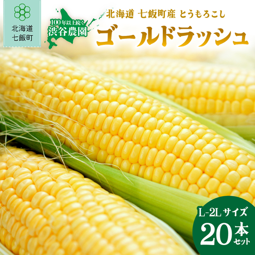 【先行予約 令和8年8月発送】北海道七飯町産 とうもろこし「ゴールドラッシュ」(L-2Lサイズ) 20本セット NABT005