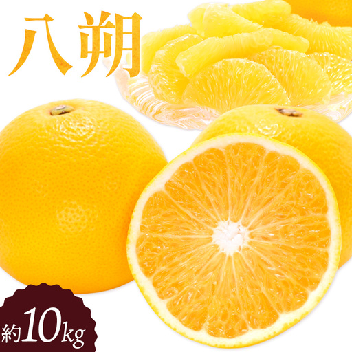 八朔 約10kg はっさく