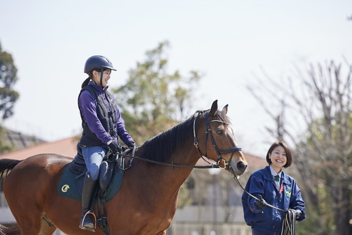 乗馬 初心者歓迎！馬とふれあう感動体験 東武乗馬クラブ＆クレインの乗馬体験1回コース