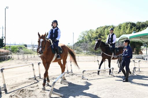 乗馬 初心者歓迎!馬とふれあう感動体験 東武乗馬クラブ&クレインのペア家族限定乗馬体験1回コース