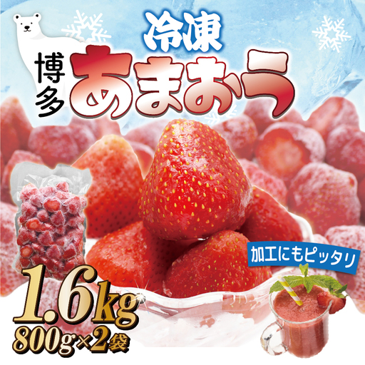 福岡県産冷凍あまおう1.6kg(800g×2袋)  [M1000]