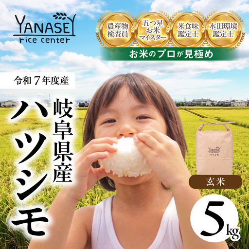 ≪令和7年度産≫ プロが厳選 玄米 ハツシモ 5kg|玄米