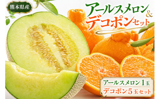 アールスメロン1玉 ＆ デコポン5玉 セット くだもの 果物 フルーツ 甘み 国産 熊本県産 果実 果汁 果肉 アールスメロン メロン デコポン 柑橘 プレゼント ギフト 贈答品 贈り物 【 2026年12月上旬発送開始 】