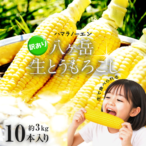 【訳アリ】 八ヶ岳 生とうもろこし はねだし 10本 ( 約3kg )【2026年7月中旬～発送】| ハマラ