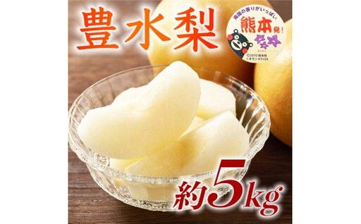 豊水梨 約5kg ( 6 〜 18玉 ) くだもの 果物 フルーツ 果実 果汁 果肉 食感 甘み 香り 国産 熊本県産 梨 なし ナシ 旬 [ 2026年08月上旬発送開始 ]