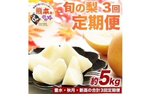 [ 年3回定期便 ] 梨の定期便 6 〜 18玉 約5kg × 3回 ( 豊水 → 秋月 → 新高 ) くだもの 果物 フルーツ 果実 果汁 果肉 食感 甘み 香り 国産 熊本県産 梨 なし ナシ 定期配送 定期 旬