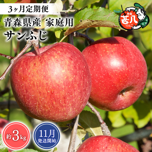 りんご 【2026年11月発送開始】青森県産 サンふじ 家庭用 約3kg 3ヶ月定期便 りんご