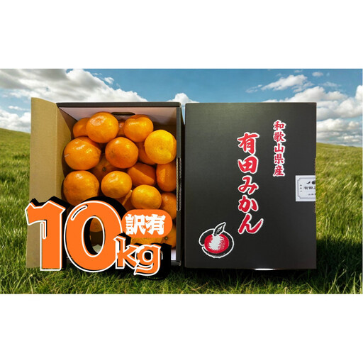 【訳あり】有田みかん 約10kg 家庭用