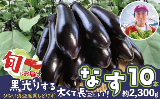 ナス 黒光りする太くて長い！10本　【40P3224】【ひない渡辺農園しどけ村】
