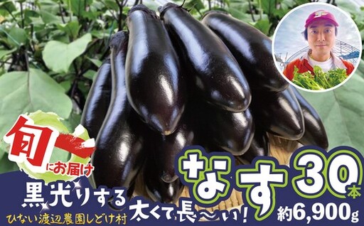 ナス 黒光りする太くて長い！30本　【120P3206】　【ひない渡辺農園しどけ村】