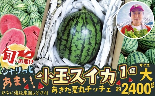 シャリっと甘い小玉スイカ！あきた夏丸チッチェ＜大1個＞　70P3404【ひない渡辺農園しどけ村】