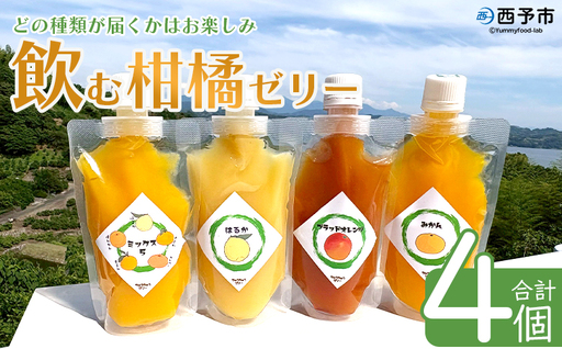 ＜つるんと食感の飲む柑橘ゼリー 4個＞『1か月以内に順次発送予定』果物ゼリー くだもの ゼリー パウチ みかん 蜜柑 デザート スイーツ おやつ のむ ストレート 果汁 100％ 食感 ぷるぷる お楽しみ 渡江から一歩を踏み出す会 愛媛県 西予市 【常温】ATI0053
