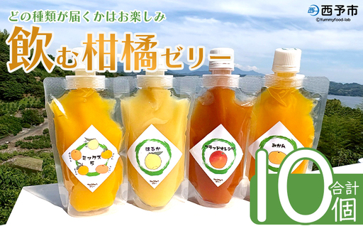 ＜つるんと食感の飲む柑橘ゼリー 10個＞『1か月以内に順次発送予定』果物ゼリー くだもの ゼリー パウチ みかん 蜜柑 デザート スイーツ おやつ のむ ストレート 果汁 100％ 食感 ぷるぷる お楽しみ 渡江から一歩を踏み出す会 愛媛県 西予市 【常温】ATI0051
