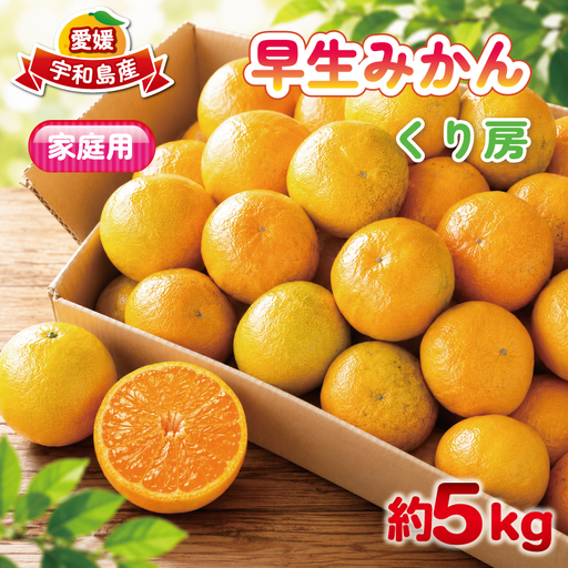 家庭用 早生みかん 約 5kg くり房 早生 みかん わせみかん 愛媛みかん 愛媛蜜柑 蜜柑 mikan 果物 くだもの フルーツ 柑橘 数量限定 産地直送 国産 愛媛 宇和島