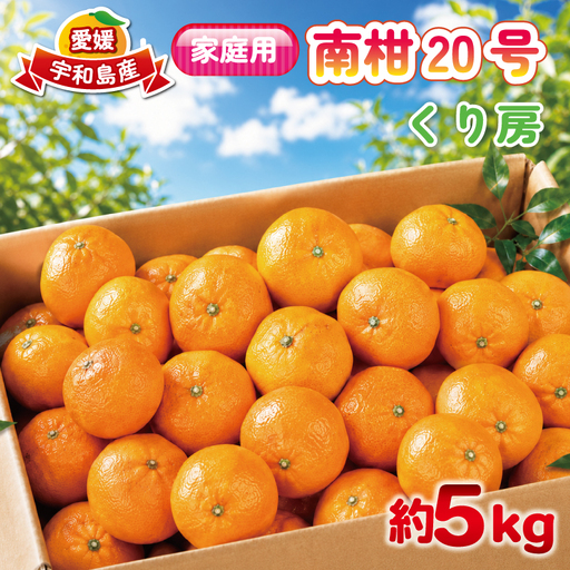 家庭用 南柑20号 約 5kg くり房 中生みかん なかてみかん 愛媛みかん 愛媛蜜柑 蜜柑 みかん mikan 果物 くだもの フルーツ 柑橘 数量限定 産地直送 国産 愛媛 宇和島