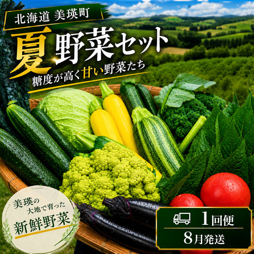 【令和8年産】旬の野菜7～9種の詰め合わせセット 8月発送 美景農園