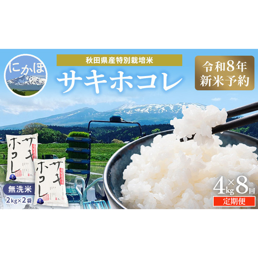 【新米予約】定期便8か月 サキホコレ 無洗米 4kg サキホコレ