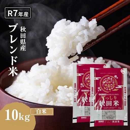 白米 ブレンド米 10kg  令和7年度産 白米