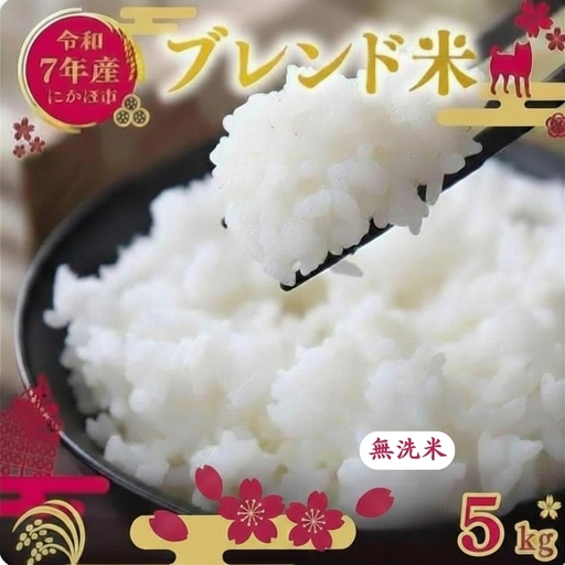 《7営業日以内配送》無洗米 ブレンド米 5kg  令和7年度産 無洗米