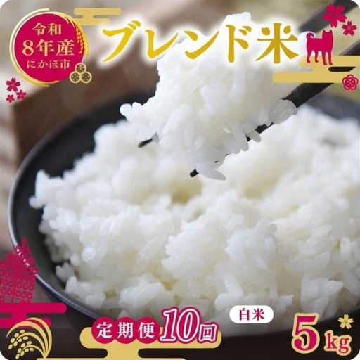 【先行予約 定期便10か月】白米 ブレンド米 5kg  令和8年産 白米