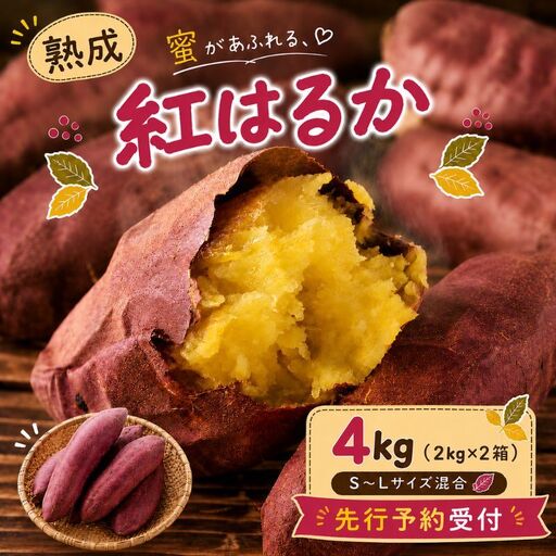 【先行予約】紅はるか さつまいも 約4kg 秋山農場 さつまいも