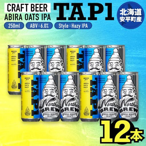 クラフトビール 250ml 12本 NORTHERN BREW TAP1