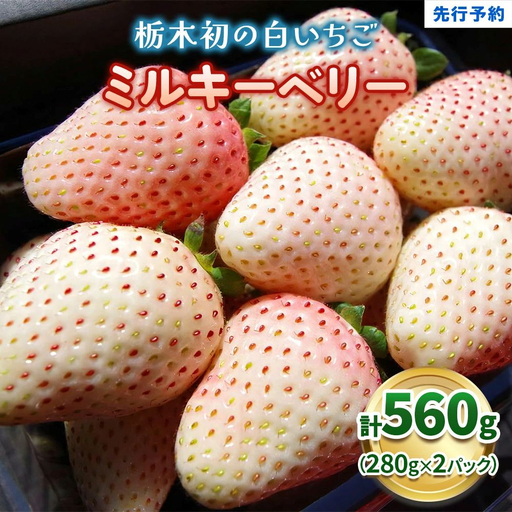 白いちご「ミルキーベリー」 560g (280g×2P)| 栃木県 矢板市 澳原いちご農園