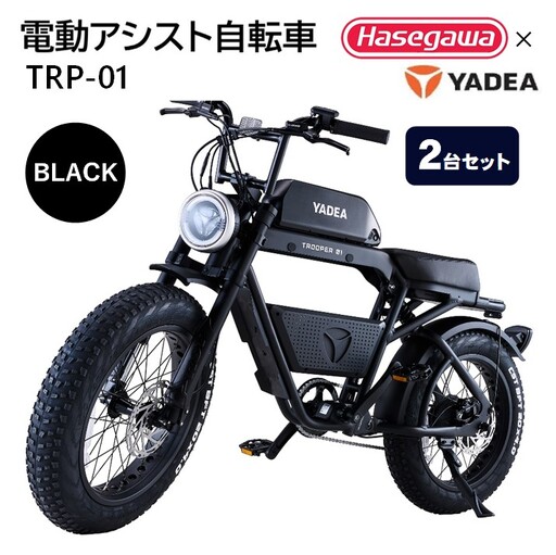 【２台セット】電動アシスト自転車 TRP-01 ブラック 電動 自転車 バイク 移動 アシスト 油圧ディスク 液晶 500W 前後サスペンション 