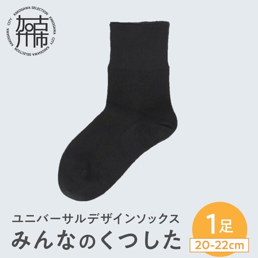 みんなのくつした 1足(20-22cm)[クロ][2500T16801_04]