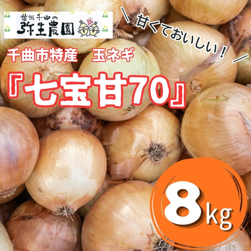 千曲市特産 玉ネギ ｢七宝甘70｣ 8kg | 玉ねぎ