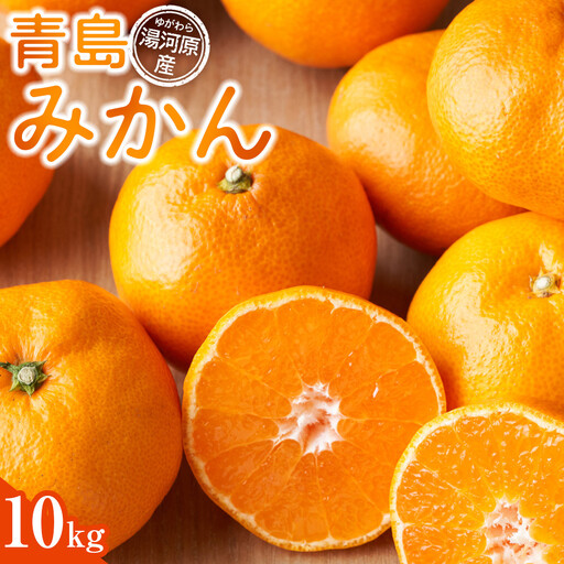 青島みかん10kg | 湯河原町 みかん 柑橘 旬 青島みかん 10kg フルーツ