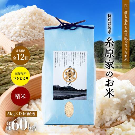 【定期便 全12回】特別栽培米「糸原家のお米」高野町産 コシヒカリ 5キロ| 5kg×12回 合計60kg 12ヶ月 12ヵ月 12か月 精米 白米 お米