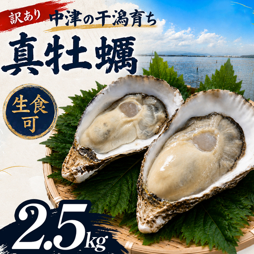 【訳あり】殻付き真牡蠣 2.5kg | かき 真牡蠣 生食用 殻付き 海鮮 魚介 海のミルク おつまみ おかず 訳あり 家庭用 大分県 中津市