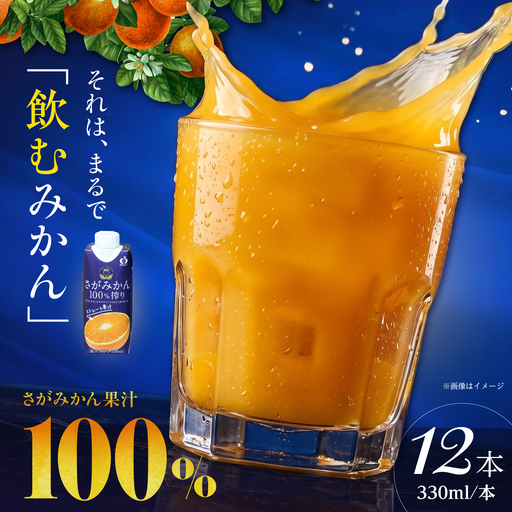 さがみかん100%搾り 330ml×12本入 【JAさが 杵島支所】[HAM098]