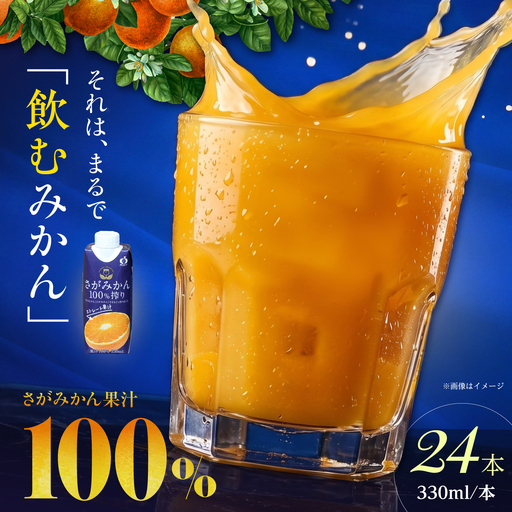 さがみかん100%搾り 2箱（330ml×12本入/箱） 【JAさが 杵島支所】[HAM099]