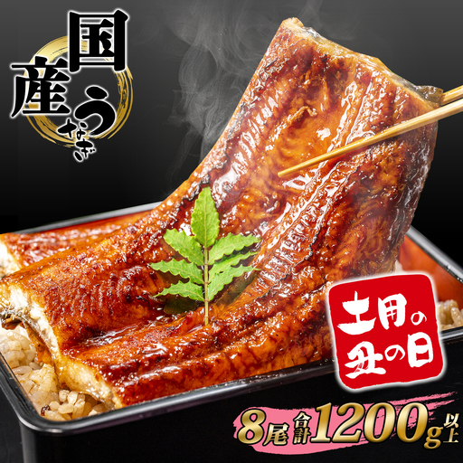 うなぎ蒲焼 8尾 国産 うなぎ 鰻 丑の日 K2393