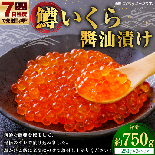 【 7日程度で発送 】 鱒いくら 醤油漬け 250g × 3 計750g 鱒 いくら  醤油漬け いくら 醤油漬け 醤油 漬け 鱒卵 新鮮 秘伝のタレ 海鮮 卵 魚介類 魚介 冷凍 魚卵 ご飯のお供