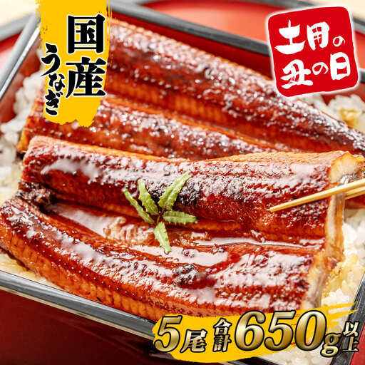 うなぎ蒲焼 5尾 国産 うなぎ 鰻 丑の日 K2396