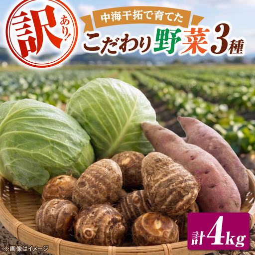 【先行予約】【2026年11月上旬順次発送】【訳あり】こだわり野菜3種（さつまいも・里芋・キャベツ）詰合せ 計4kg 島根県松江市/フジキコーポレーション株式会社[ALDS030]